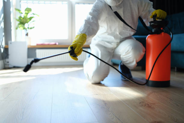Reliable Biohazard contractor in Pittsville, MD by Trauma Clean Pros